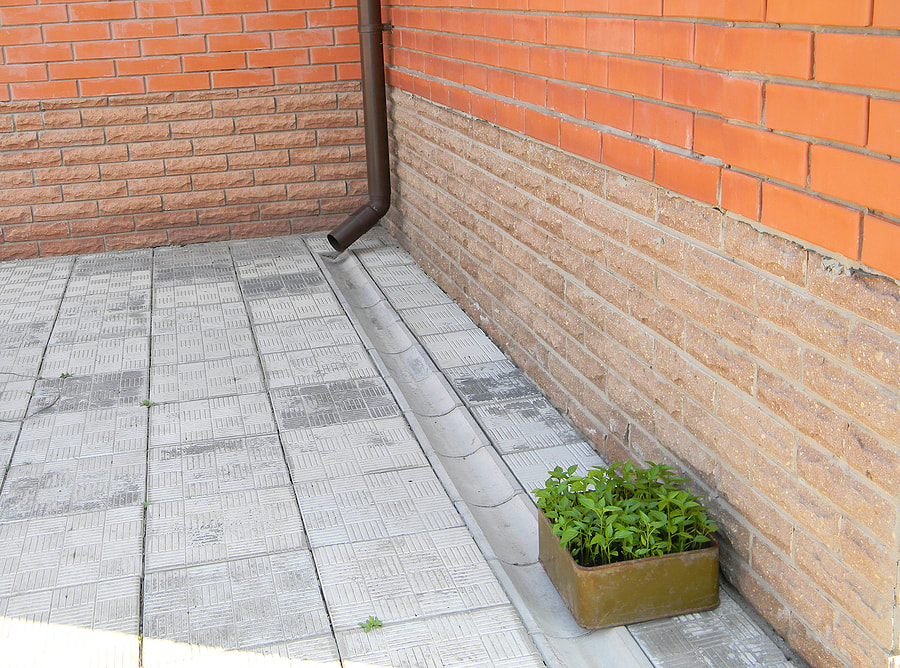 brick walls with plant